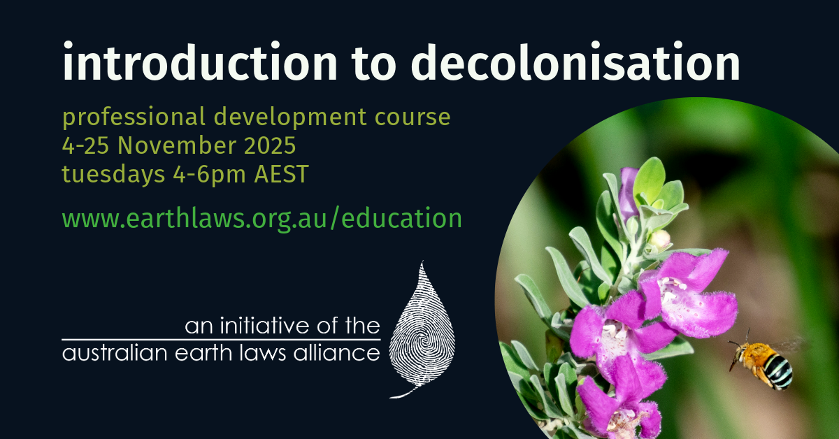 Introduction to Decolonisation 2025